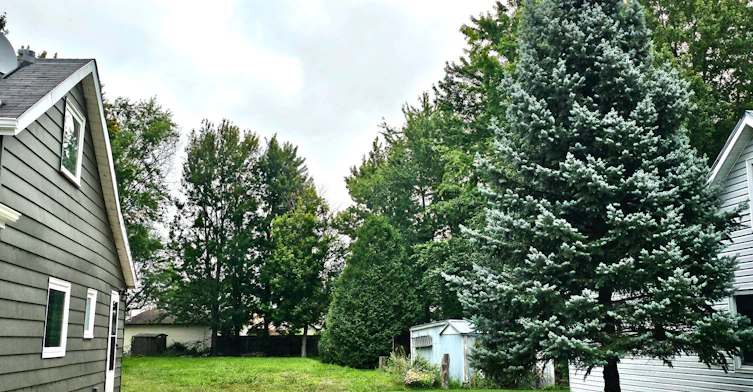 23 Ella Street S, Chatham-Kent, ON, N0P 2L0 - 19