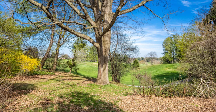 67 St Margarets Road, Hamilton, ON, L9G 2L1 - 34