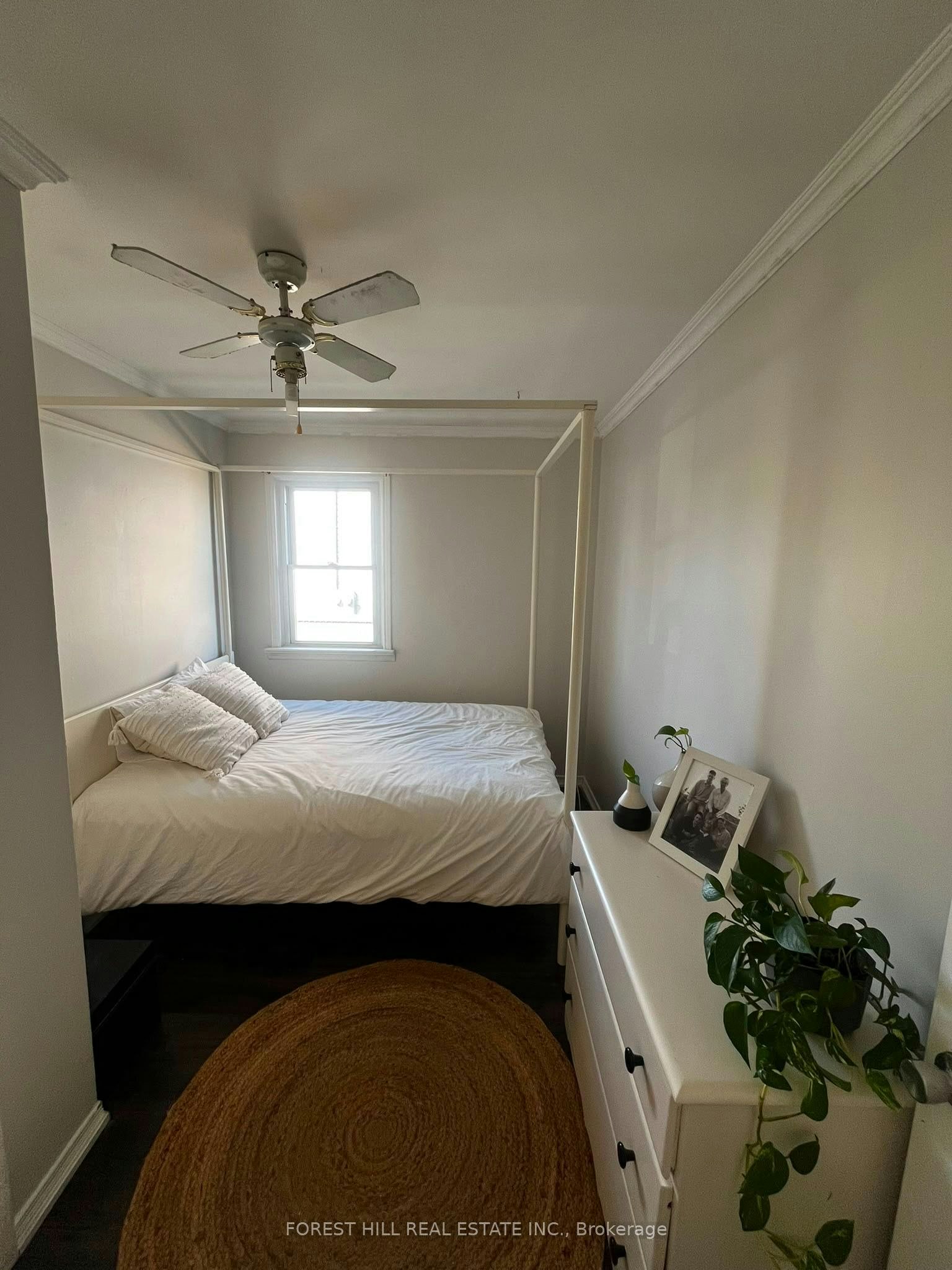 Main-70 Tunis Street, St. Catharines, ON, L2S 1E5 - 4