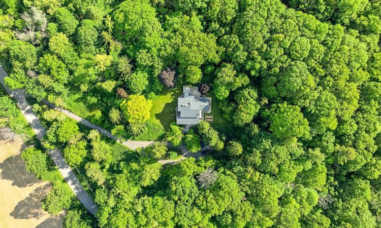 3282 Williamson Road