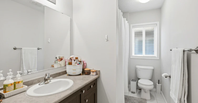 153 Maitland Street, Kitchener, ON, N2R 0C2 - 15