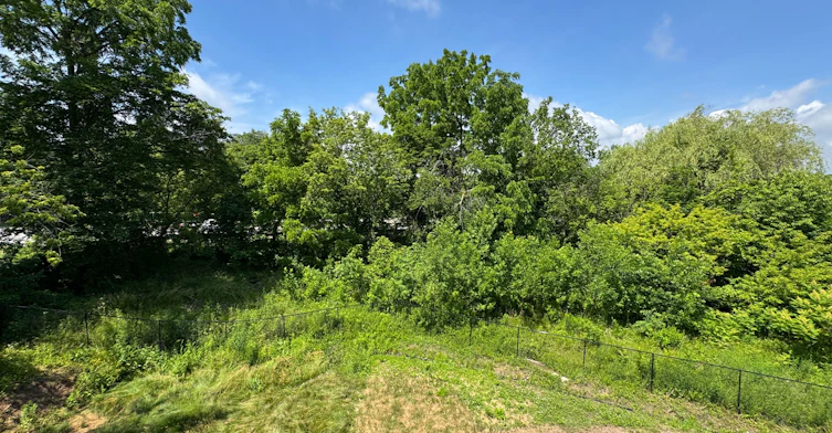 (Main)-119 Highriver Trail, Welland, ON, L3C 0H6 - 24