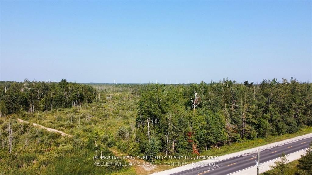 Pt Lot 80 Grey Road, Grey Highlands, ON, N0C 1M0