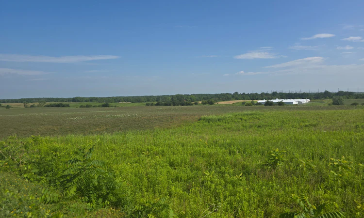 5177 Hwy #6 N/A