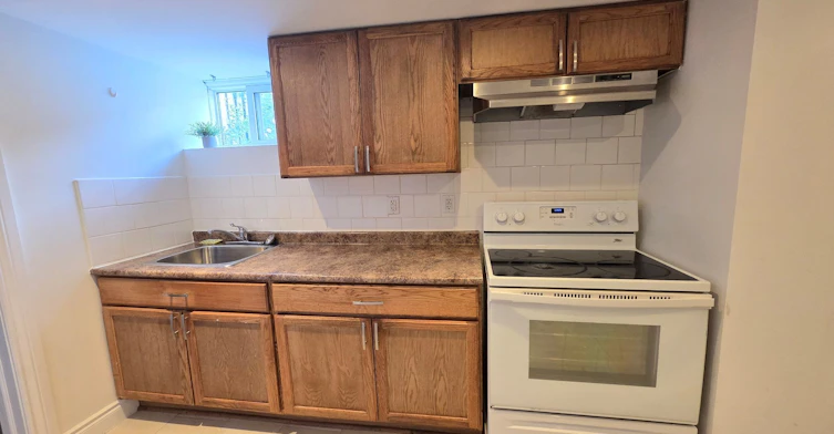 Bsmt-161 Mohawk Road W, Hamilton, ON, L9C 1W2 - 12