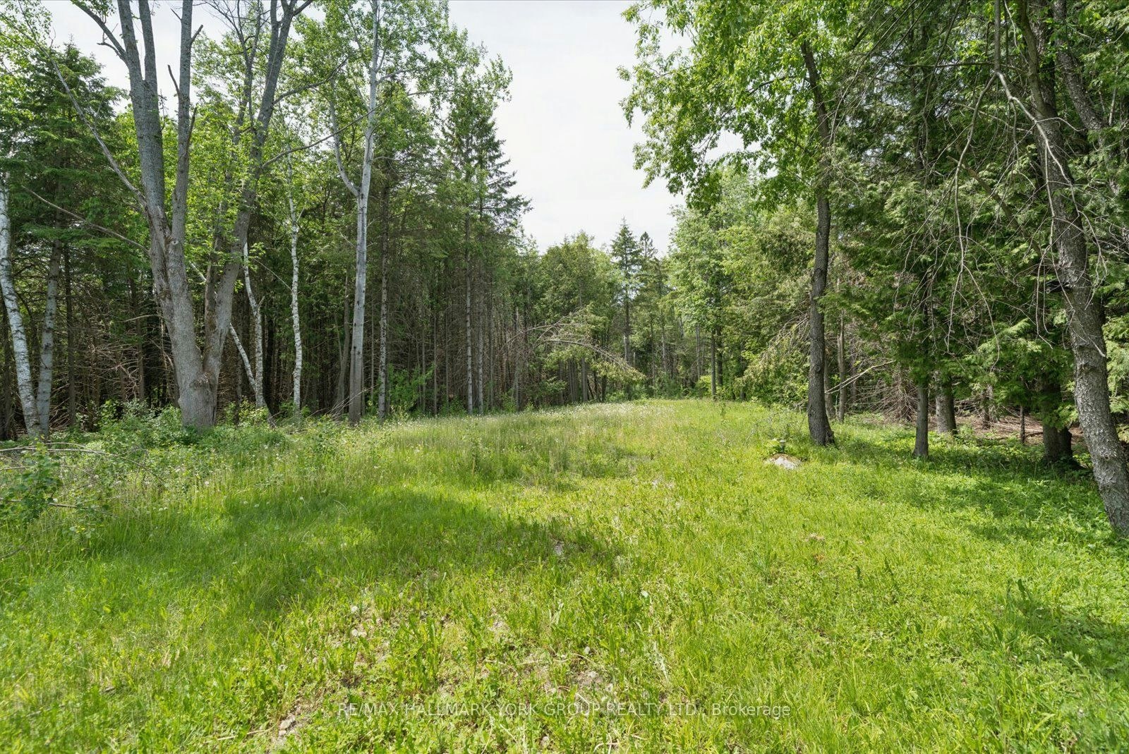 755 Country Lane, Kawartha Lakes, ON, K0M 1N0 - 29
