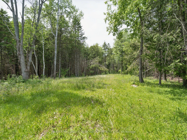 755 Country Lane, Kawartha Lakes, ON, K0M 1N0 - 29