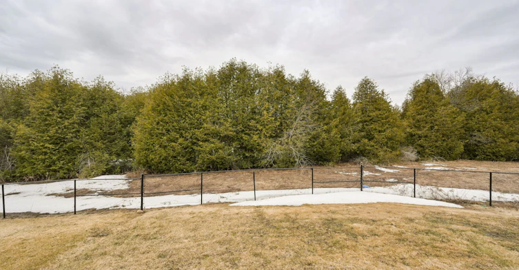 124 Limestone Lane, Shelburne, ON, L9V 3Y4 - 43