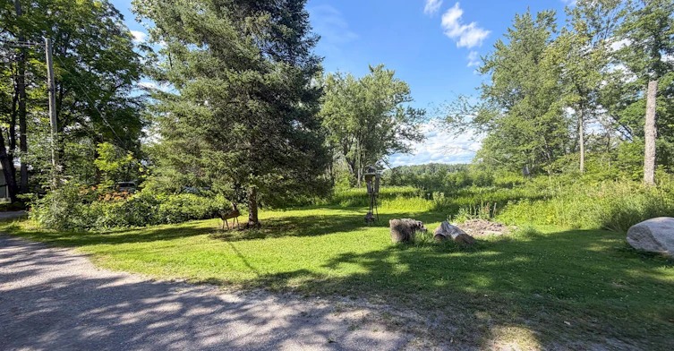 41 Valley View Lane, Trent Hills, ON, K0L 1Y0 - 16
