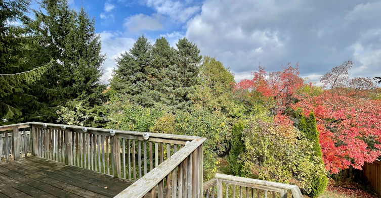 Upper-183 Autumn Hill Crescent, Kitchener, ON, N2N 1K9 - 17