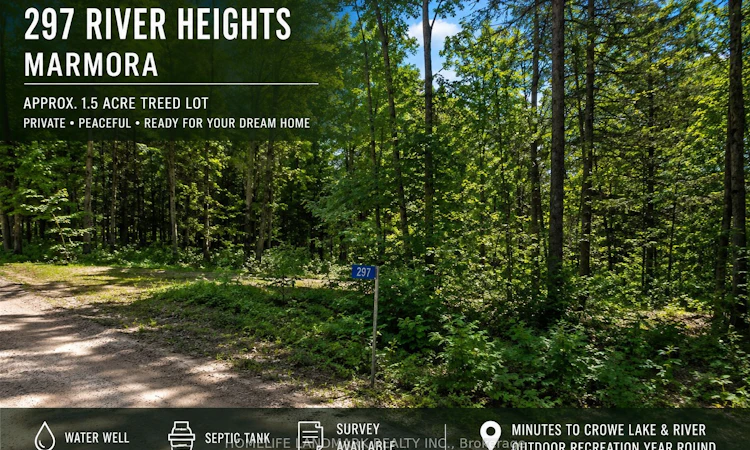 297 River Heights