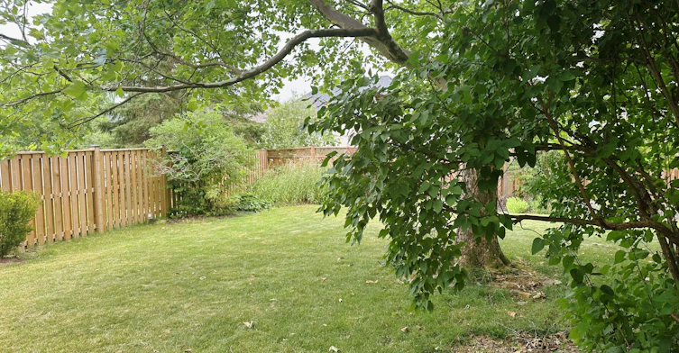 299 Louise Court, London, ON, N6G 5G2 - 14