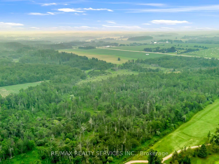 516375 Dufferin County 124 Road, Melancthon, ON, L0N 1S6 - 15