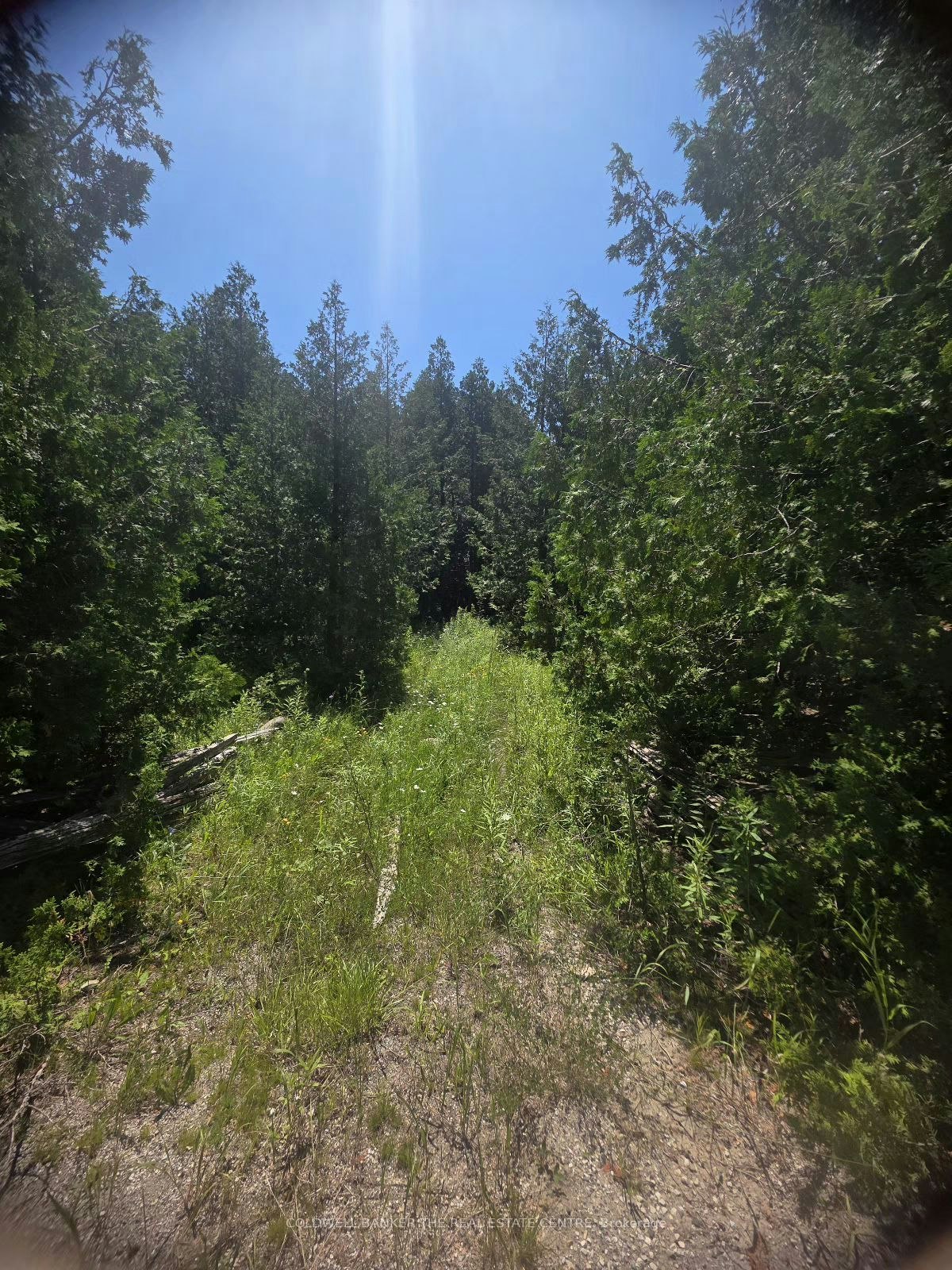 N/A Government Rd Acres W, Tehkummah, ON, P0P 2C0