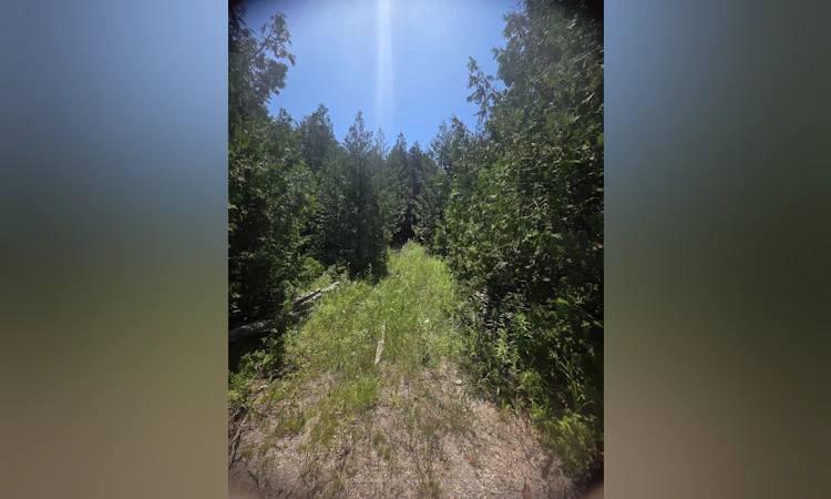 N/A Government Rd Acres W