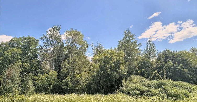 24 Mears Road, Brant, ON, N0E 1N0 - 34