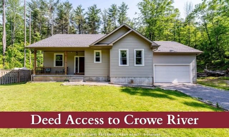 51 Pine Grove Road