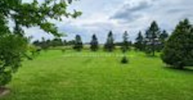 197553 2nd Line Ne Line E, Melancthon, ON, L0V 2H4 - 24