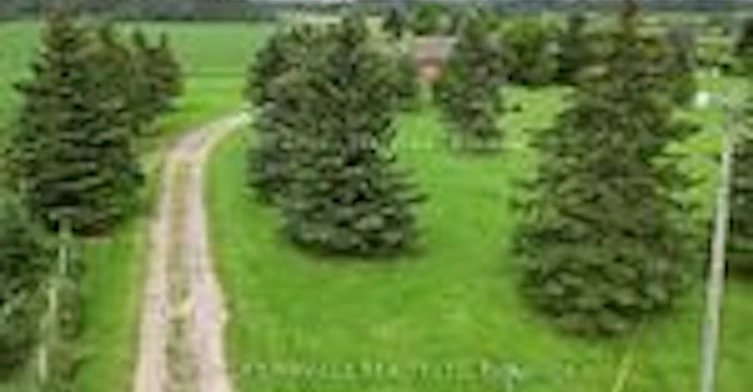 197553 2nd Line Ne Line E, Melancthon, ON, L0V 2H4 - 35