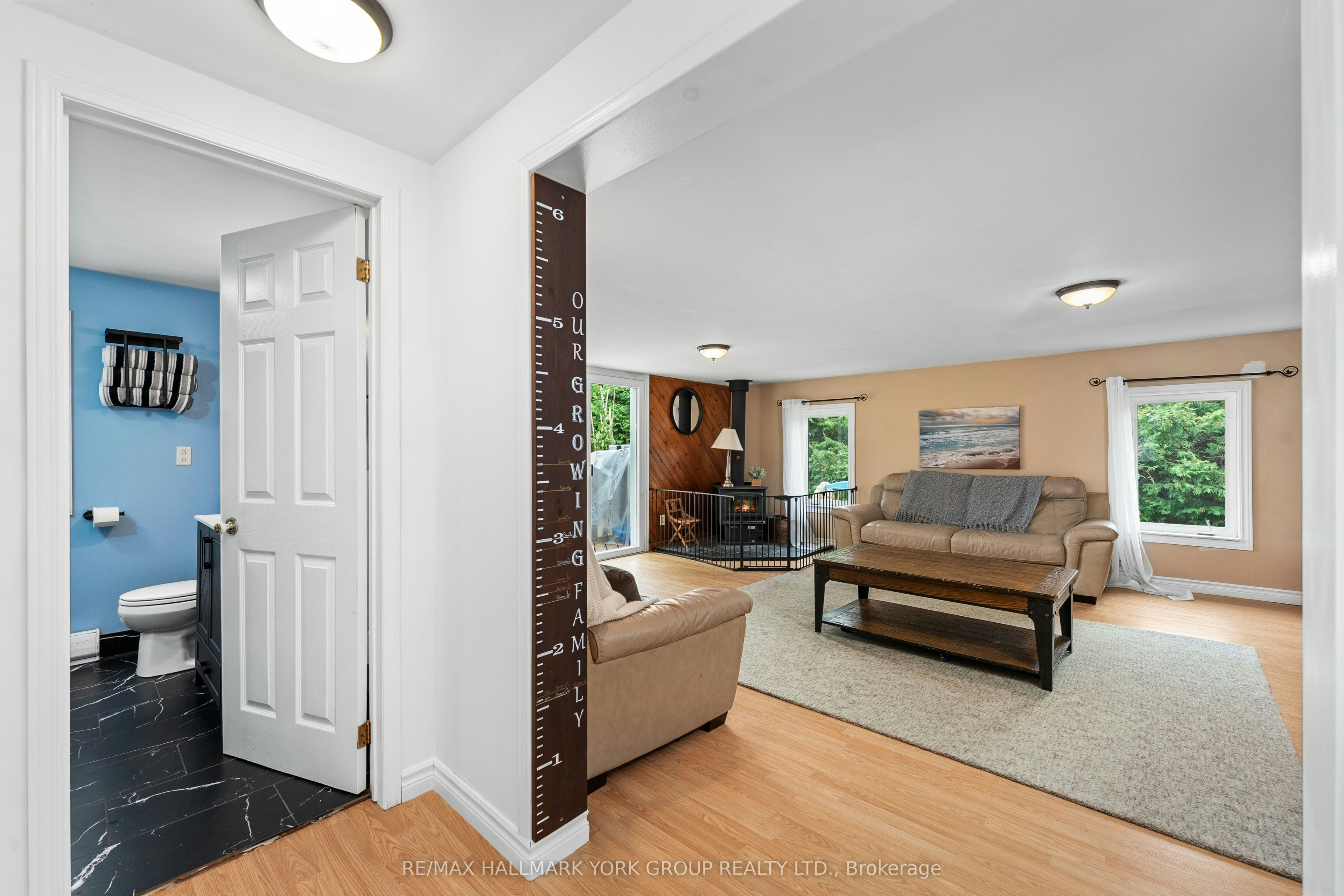 6 Mitchellview Road, Kawartha Lakes, ON, K0M 2B0 - 11