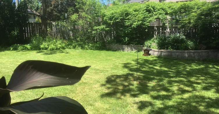 50 Havelock Street, Cobourg, ON, K9A 2J3 - 44