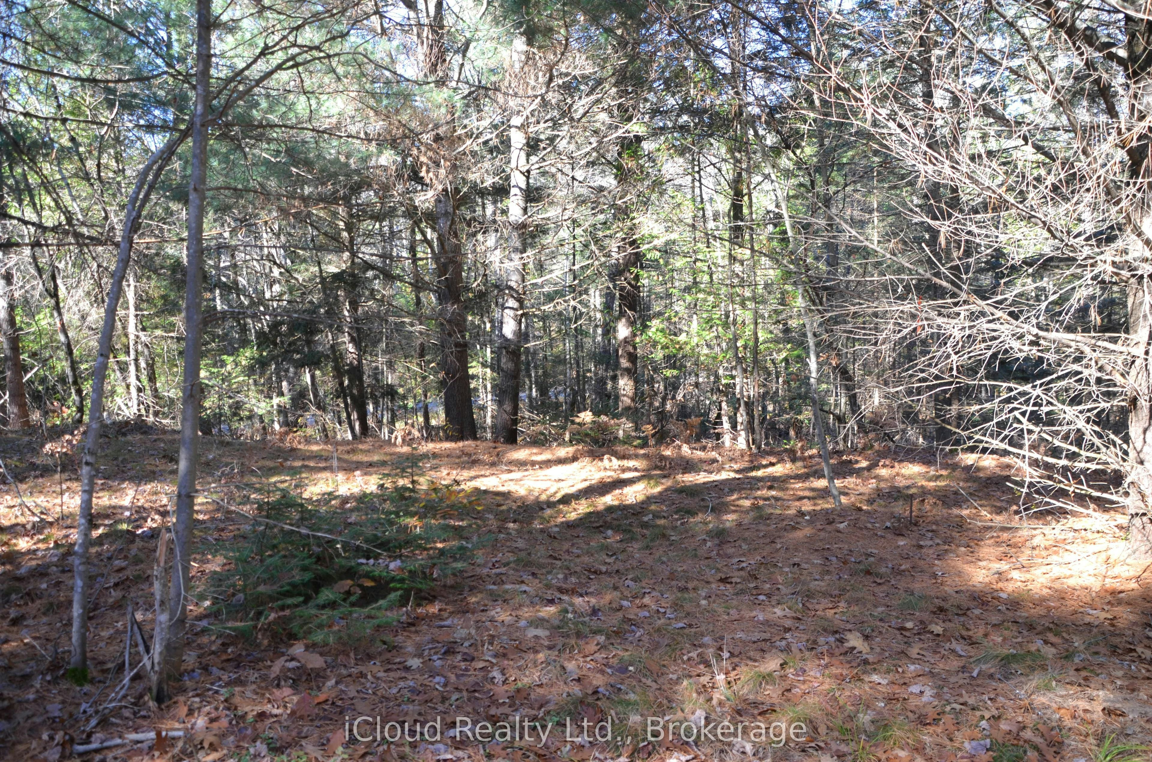 3 Parker Bay Road, Whitestone, ON, P0A 1G0