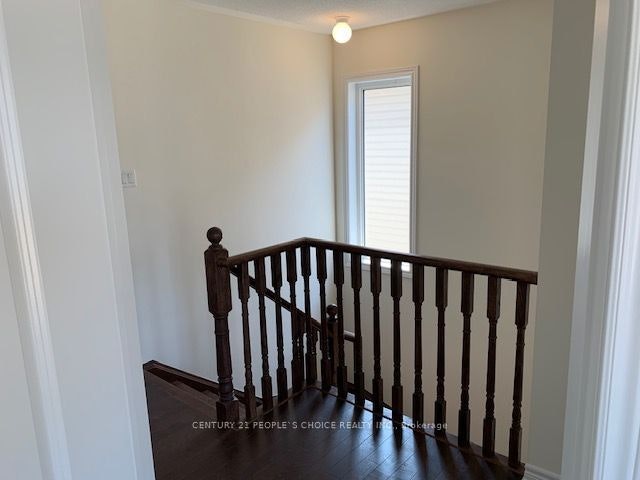 419 Black Cherry Crescent, Shelburne, ON, L9V 3Y6 - 12