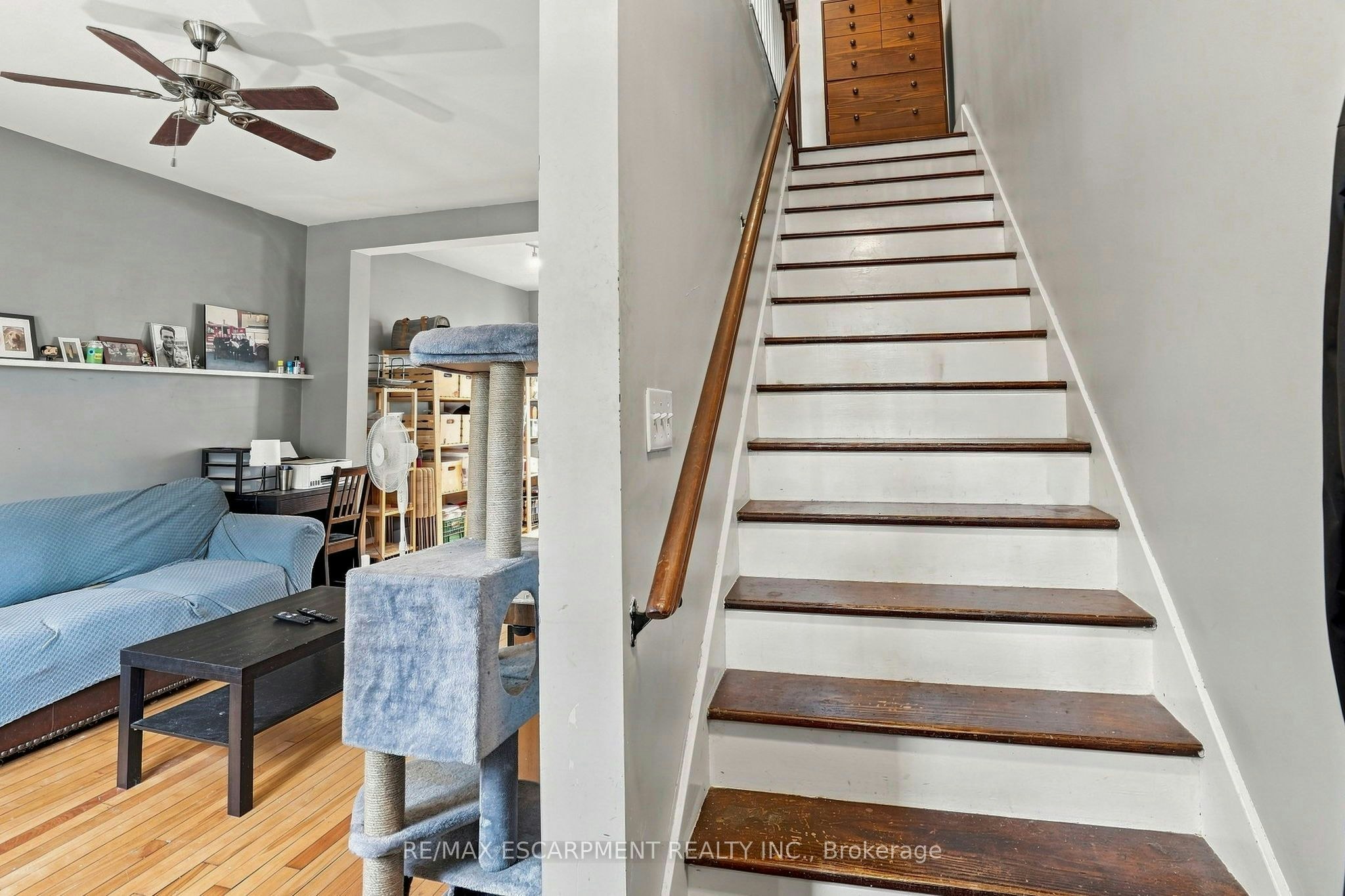 83 Napier Street - 4
