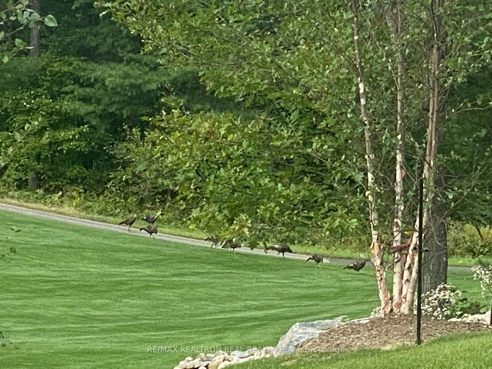 302-120 Carrick Trail, Gravenhurst, ON, P1P 0A2 - 11