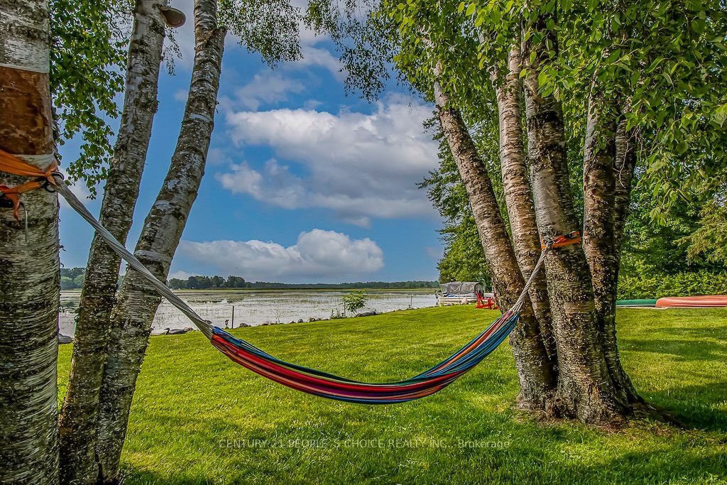 3 Lakeshore Boulevard, Smith-Ennismore-Lakefield, ON, K0L 1T0 - 38
