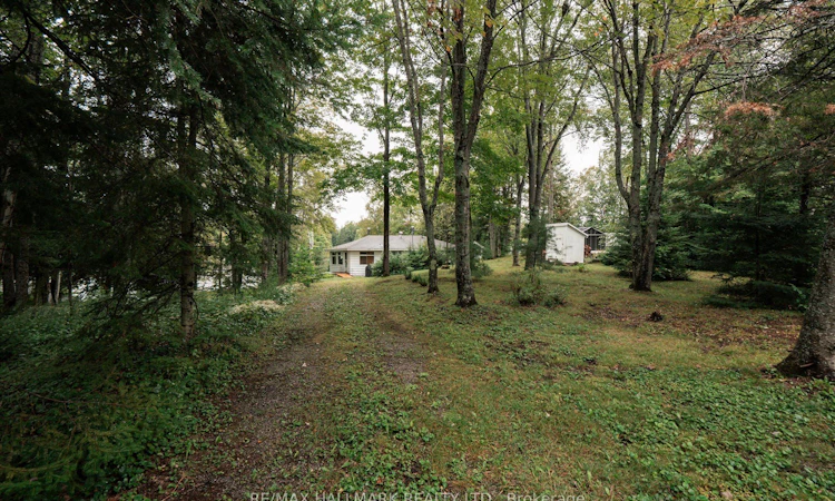 1124 Comfort Drive