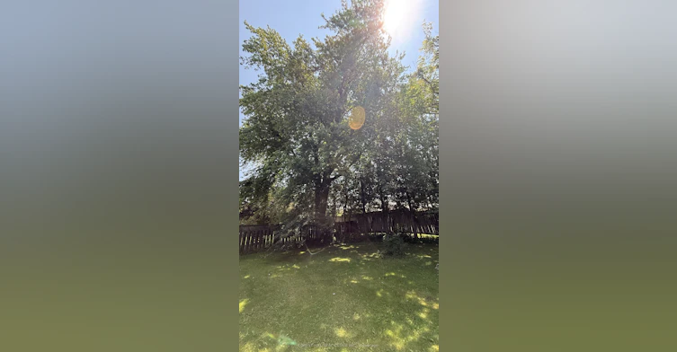 435 Main Street W, Shelburne, ON, L9V 3P1 - 46