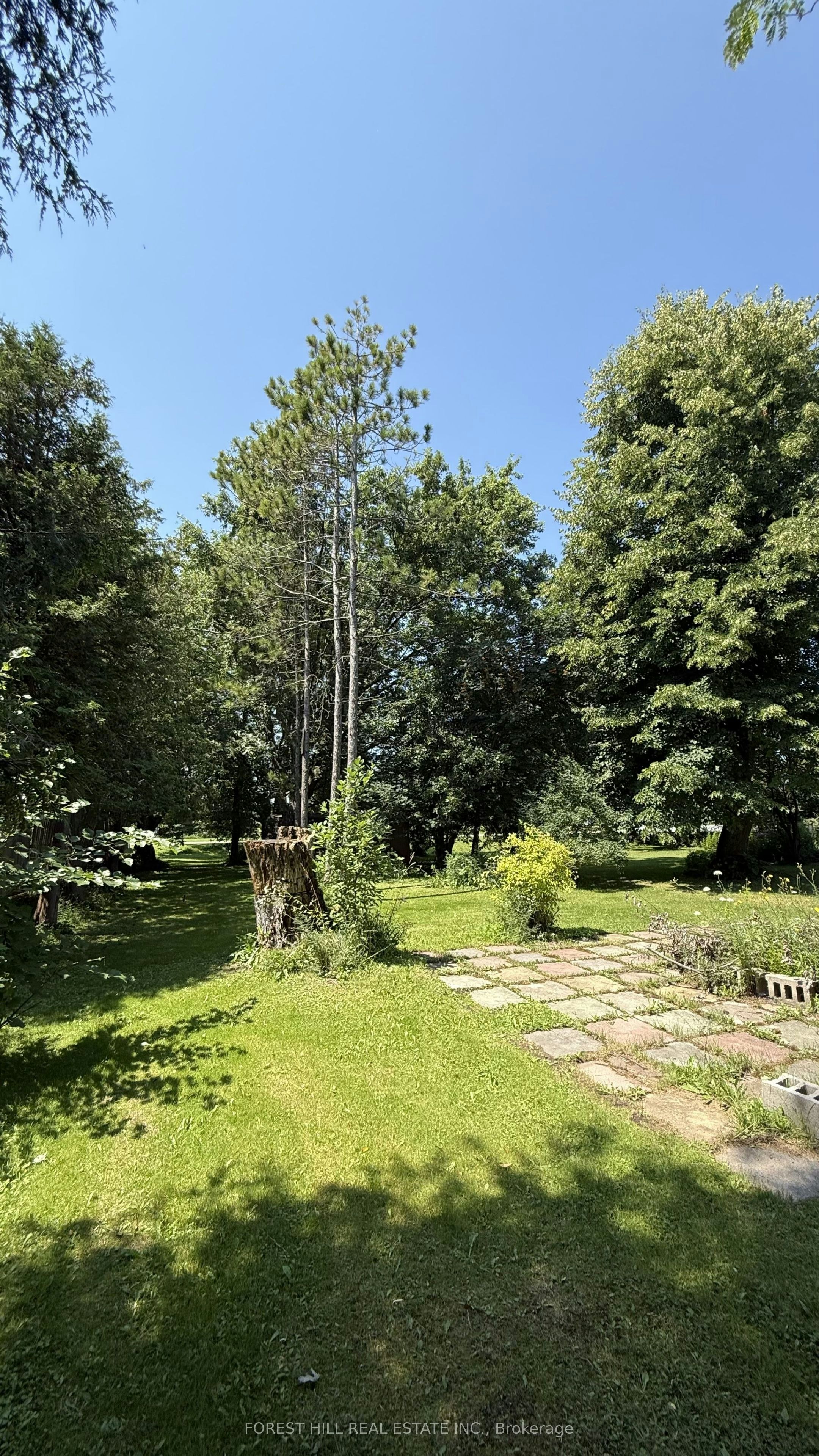 435 Main Street W, Shelburne, ON, L9V 3P1 - 39
