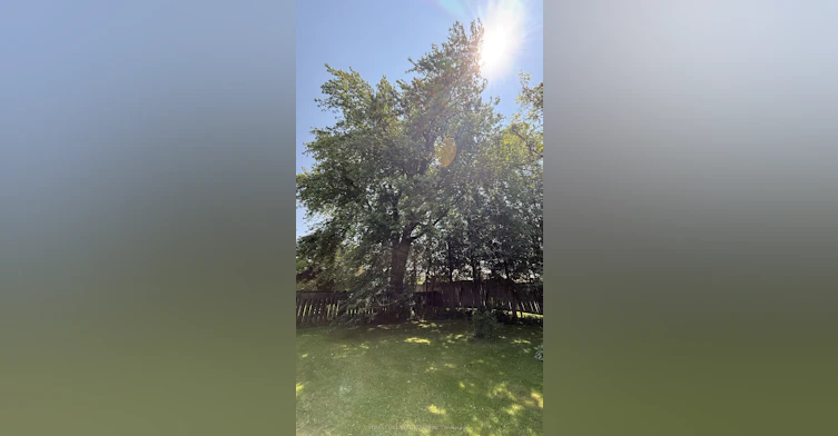 435 Main Street W, Shelburne, ON, L9V 3P1 - 47
