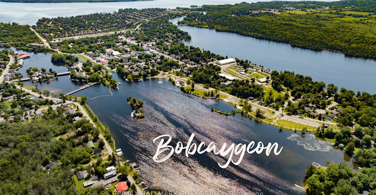 64 Hillcroft Way, Kawartha Lakes, ON, K0M 1A0 - 29