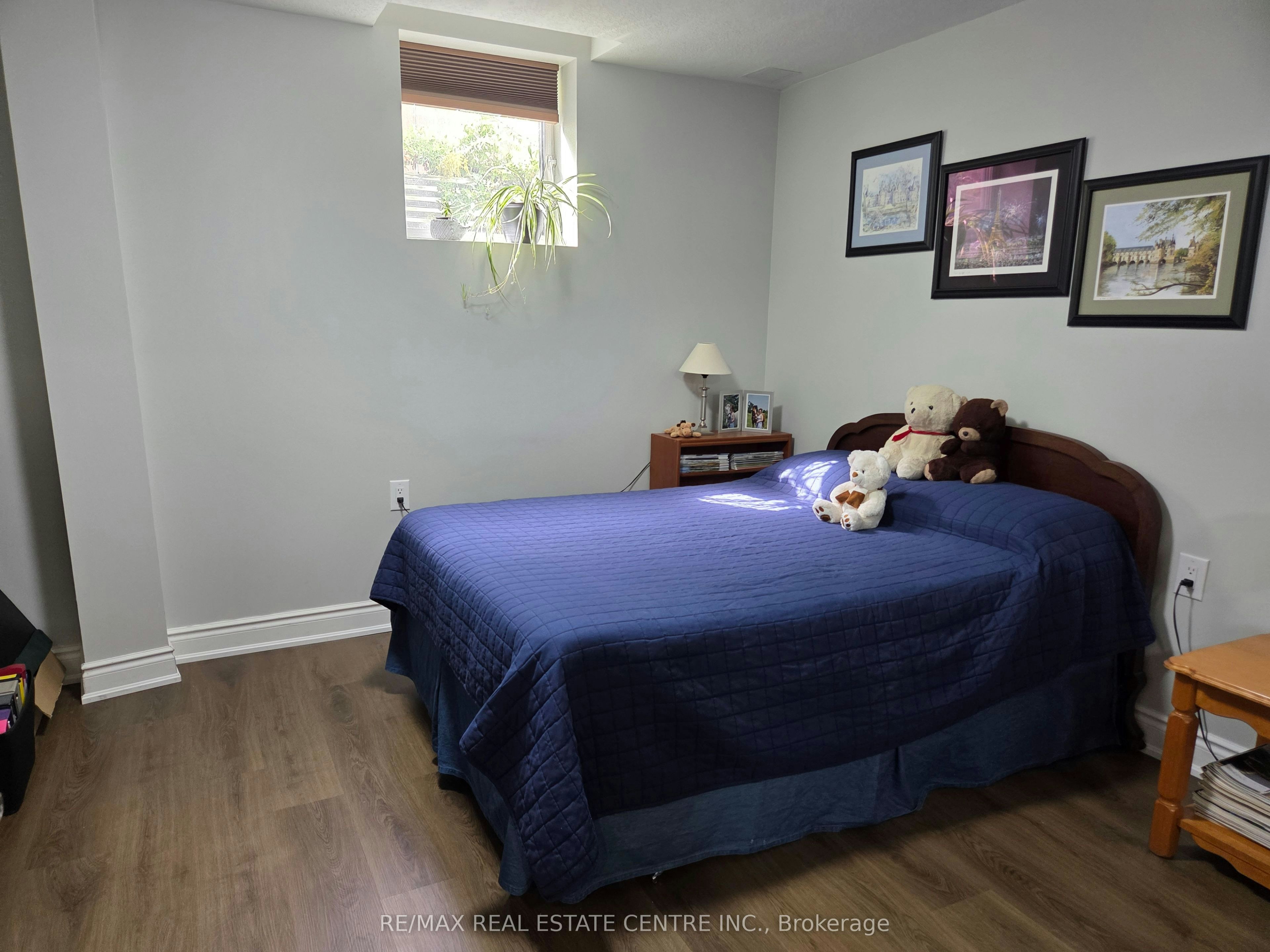 Basemen-131 Mcnichol Drive, Cambridge, ON, N1P 1E1 - 8