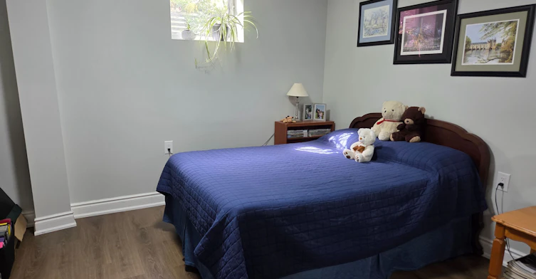 Basemen-131 Mcnichol Drive, Cambridge, ON, N1P 1E1 - 8