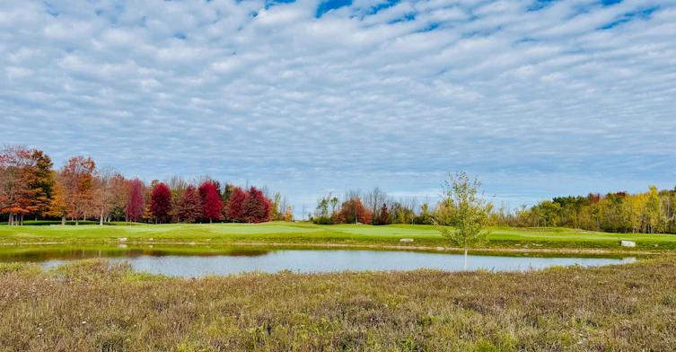 266 Snowberry Lane, Georgian Bluffs, ON, N0H 1S0 - 40