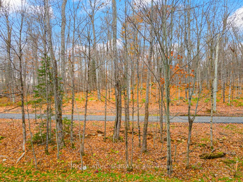 107-18 Campus Trail, Huntsville, ON, P1H 1C6 - 21
