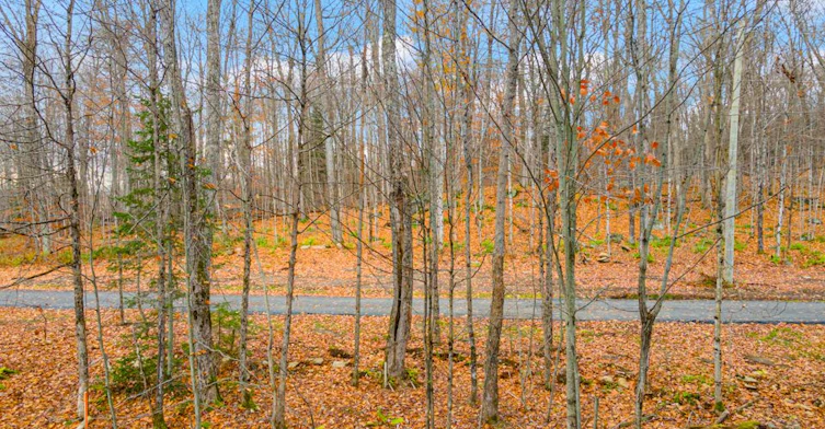 107-18 Campus Trail, Huntsville, ON, P1H 1C6 - 21