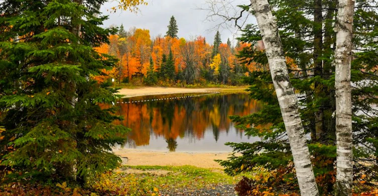 107-18 Campus Trail, Huntsville, ON, P1H 1C6 - 28