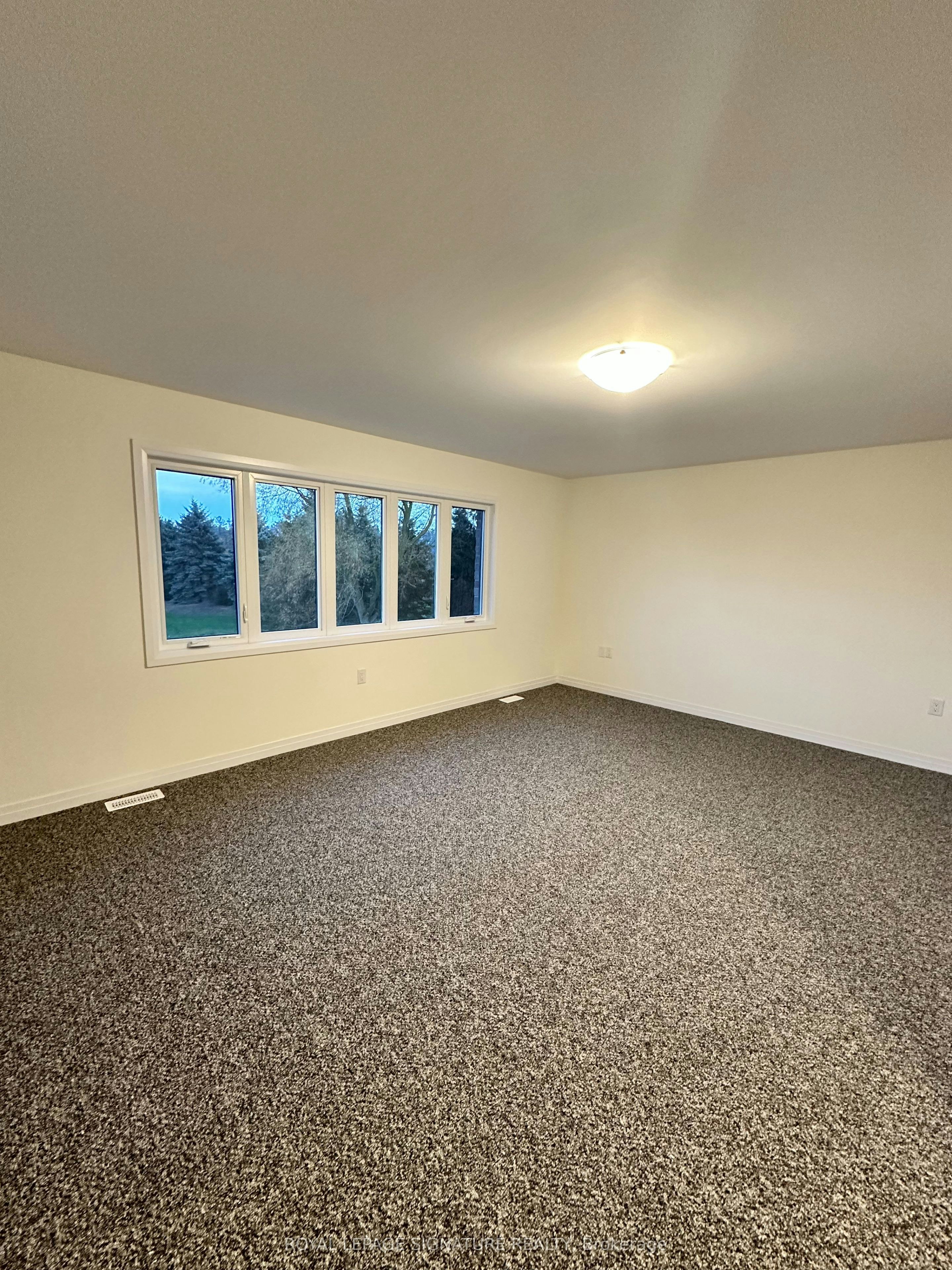 121 Dingman Street, Wellington North, ON, N0G 1A0 - 18