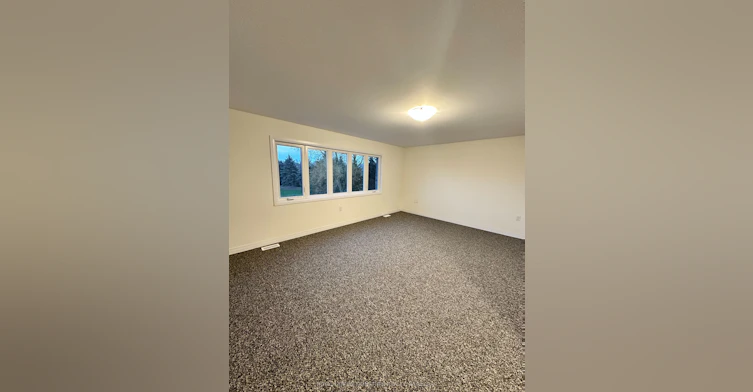 121 Dingman Street, Wellington North, ON, N0G 1A0 - 18