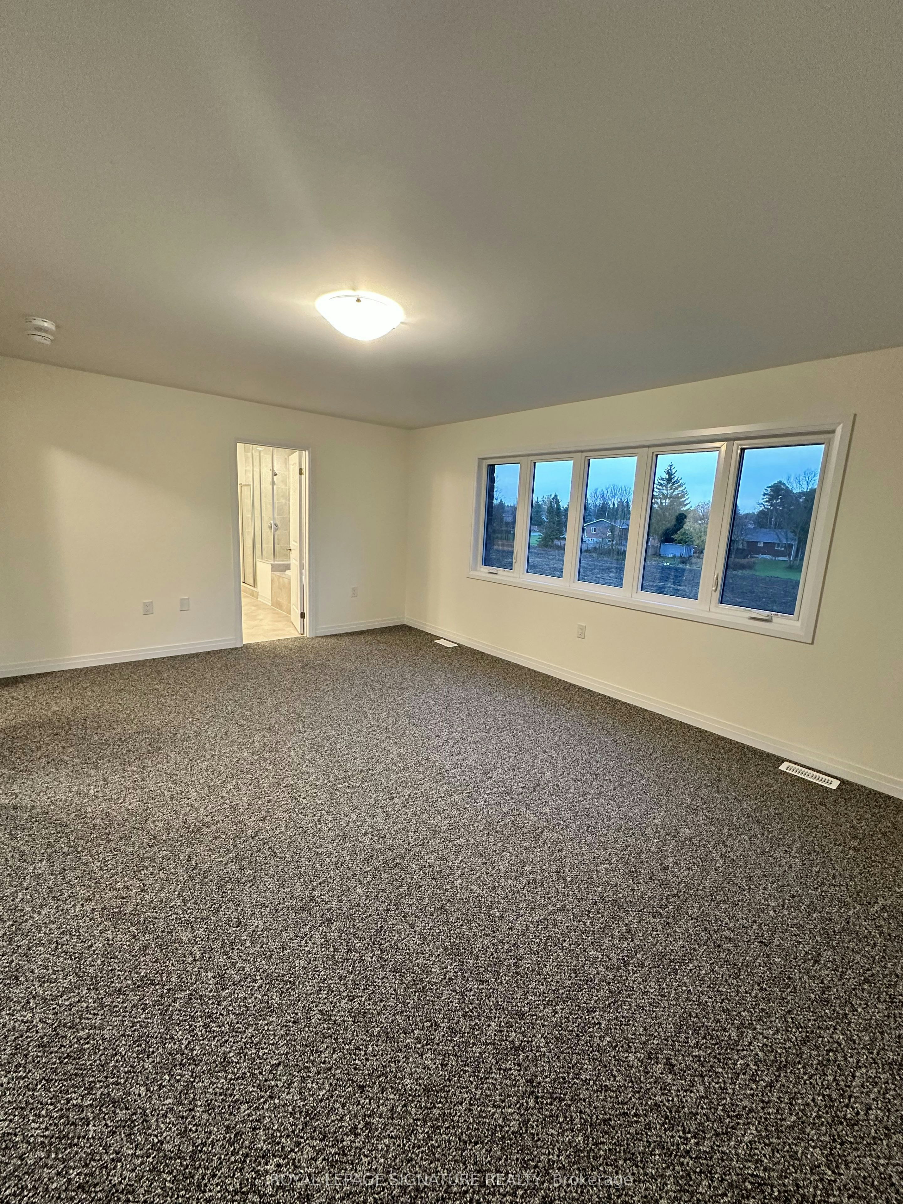 121 Dingman Street, Wellington North, ON, N0G 1A0 - 19