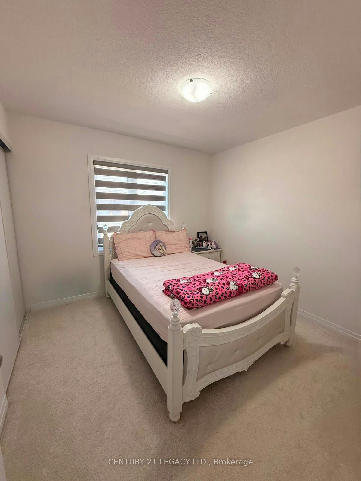 19 Langridge Way, Cambridge, ON, N1S 0E3 - 9