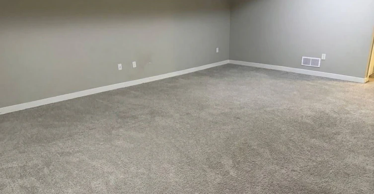 908 Robert Ferrie Drive, Kitchener, ON, N2R 0P2 - 20
