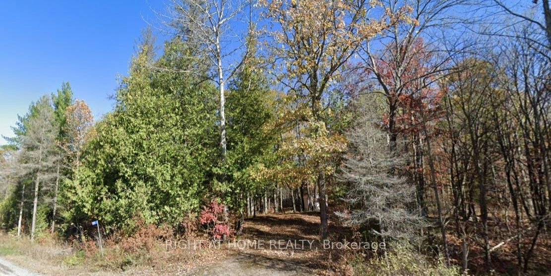 93 Mccleary Road, Marmora and Lake, ON, K0K 2M0
