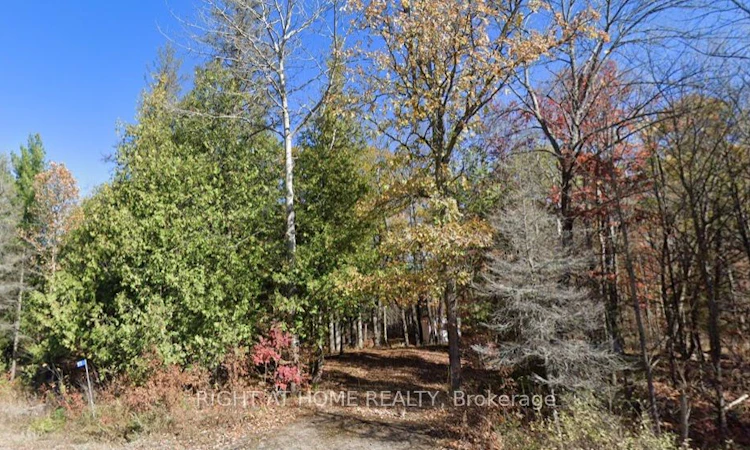 93 Mccleary Road