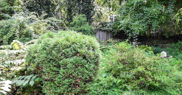 98 Delater Street, Niagara-on-the-Lake, ON, L0S 1J0 - 36