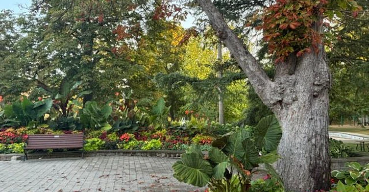 98 Delater Street, Niagara-on-the-Lake, ON, L0S 1J0 - 40